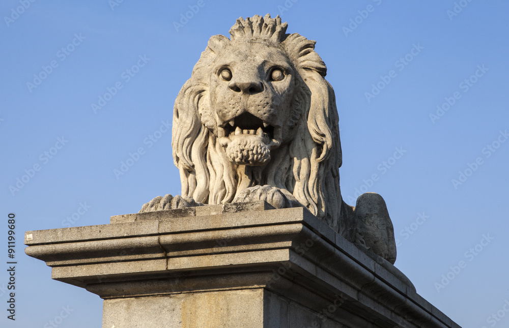 Lion Sculpture on the Chain Bridge in Budapest