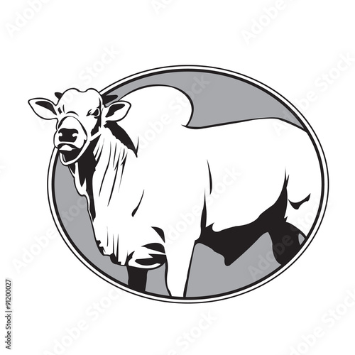Bull zebu vintage logo photo