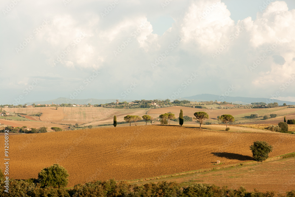 Fototapeta premium Tuscany hill view