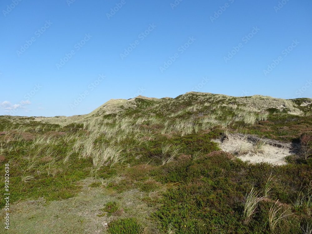 The Islet of Sylt in the North Sea