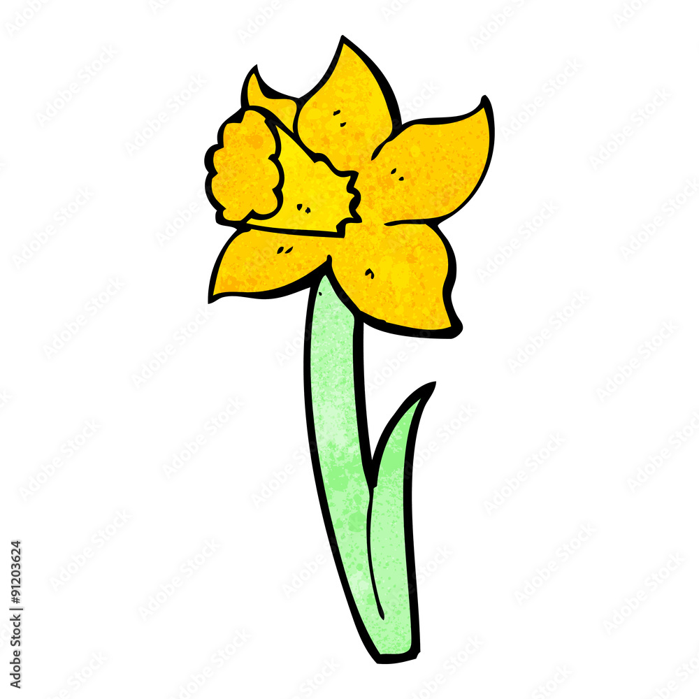cartoon daffodil cartoon daffodil