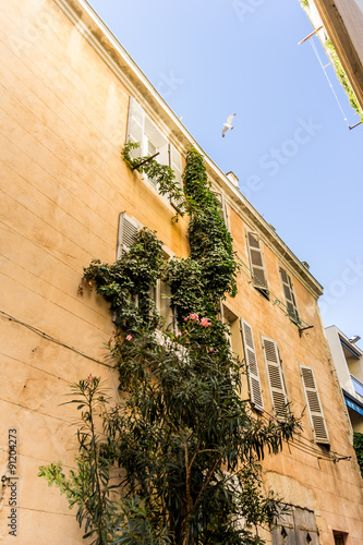 Fototapeta Naklejka Na Ścianę i Meble -  Un immeuble dans la vieille ville de Marseille