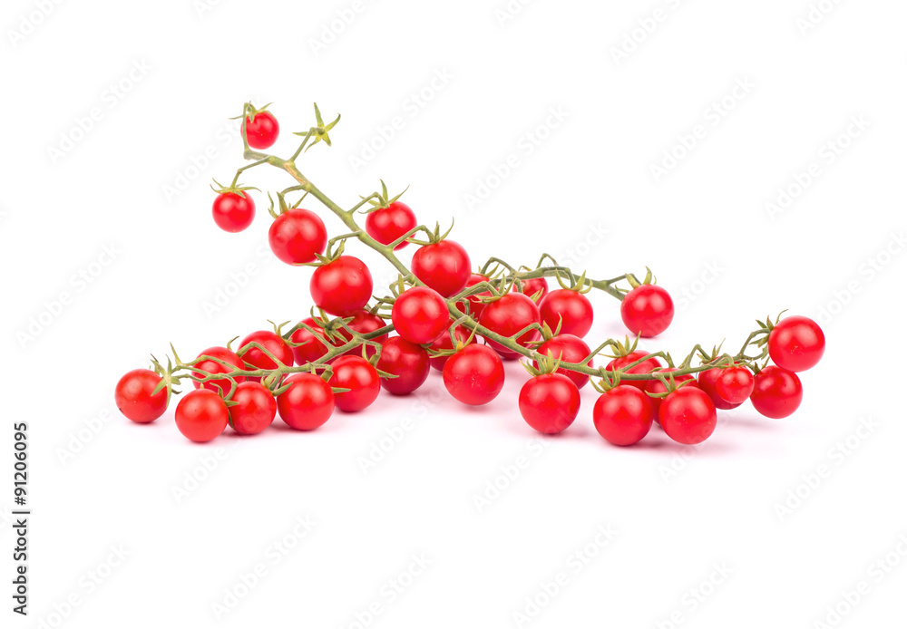 Sprig of cherry tomatoes