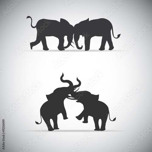 Silhouette elephant battle