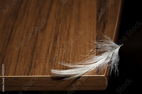 Piuma sull'orlo di un tavolo