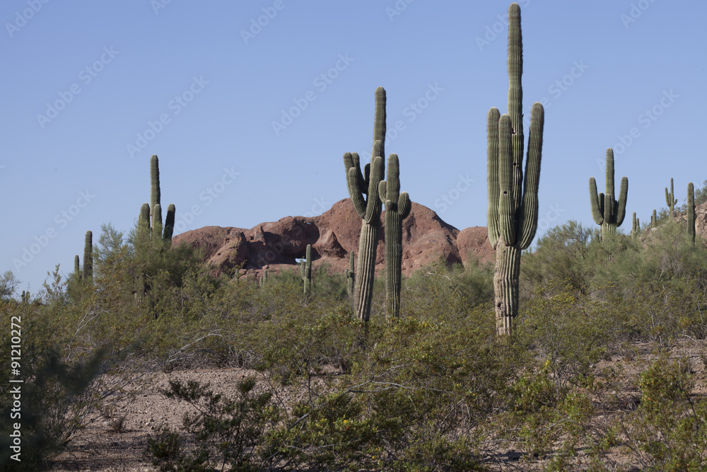 Papago Park, Phoenix, Arizona 2015-09-12
