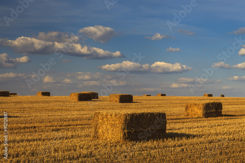 Foto Picturesque golden field with haystacks on the background of clo