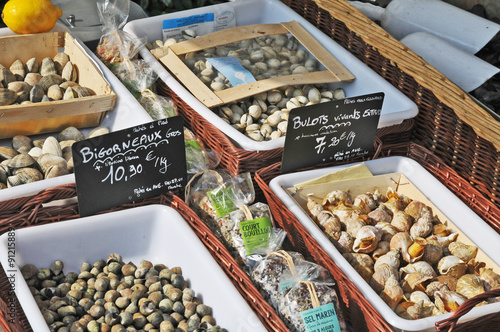 Conchiglie ed ostriche al mercato di Penestin, Bretagna photo