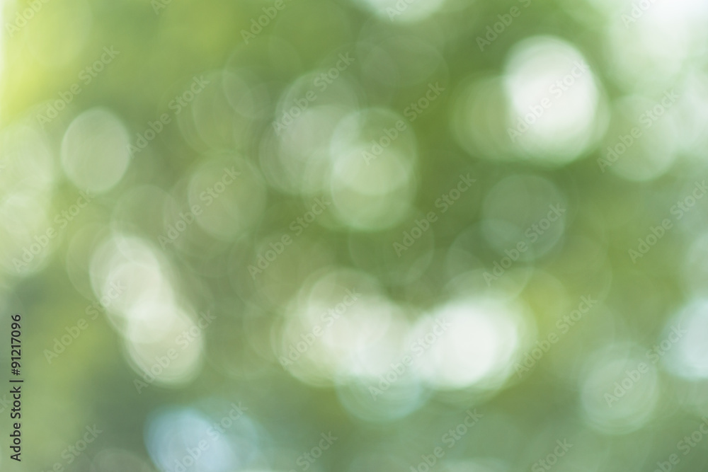 Abstract nature soft focus background with beautiful bokeh. Blurred green background Abstract nature soft focus background with beautiful bokeh. Blurred green background