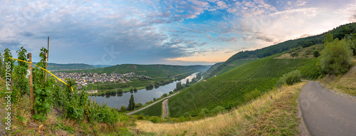 Weinberge und Mosel mit Blick auf Trittenheim