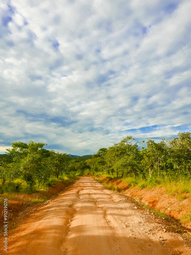 Fototapeta premium Road landscape in Tanzania