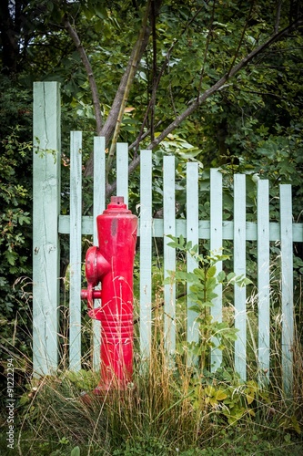 Hydrant vor Holzzaun