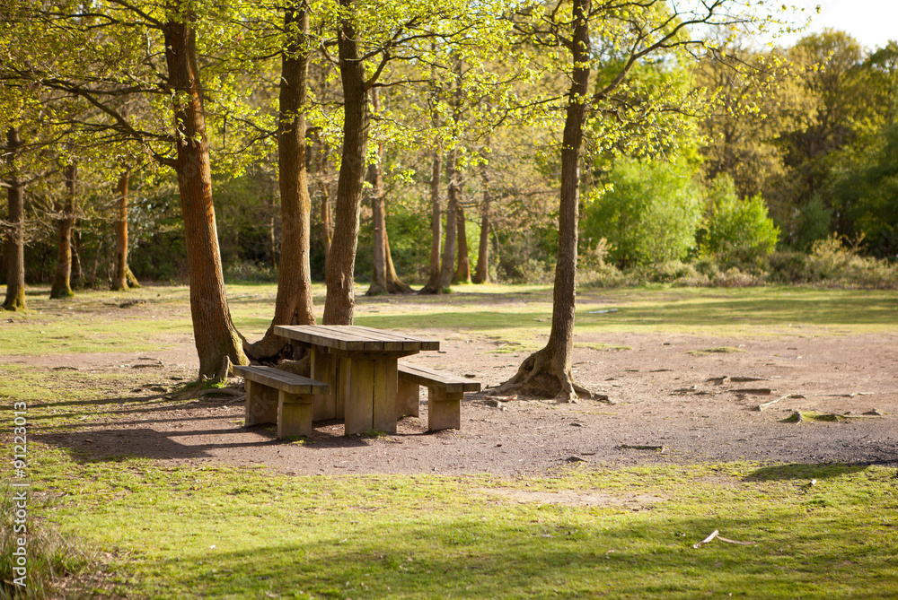 Picnic area in Abbots Wood, East Sussex, England