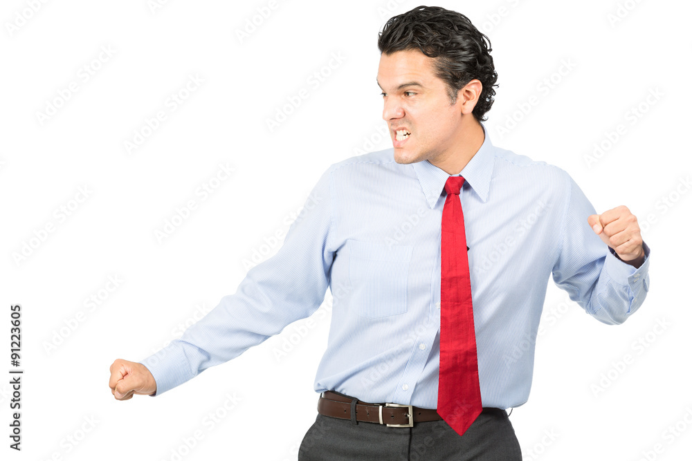 Martial Arts Pose Hispanic Business Professional Martial Arts Pose Hispanic Business Professional