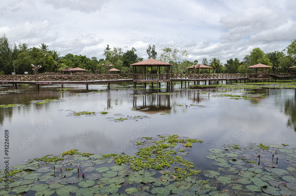Fototapeta premium Taman Rekreasi Tasik Melati, Perlis, Malaysia - Tasik Melati is a wetland famous for its lakes and its recreational facilities