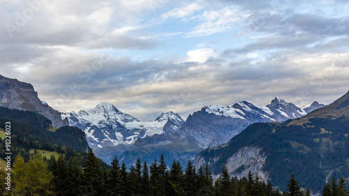 Early morning view of Swiss Alps from Wengen