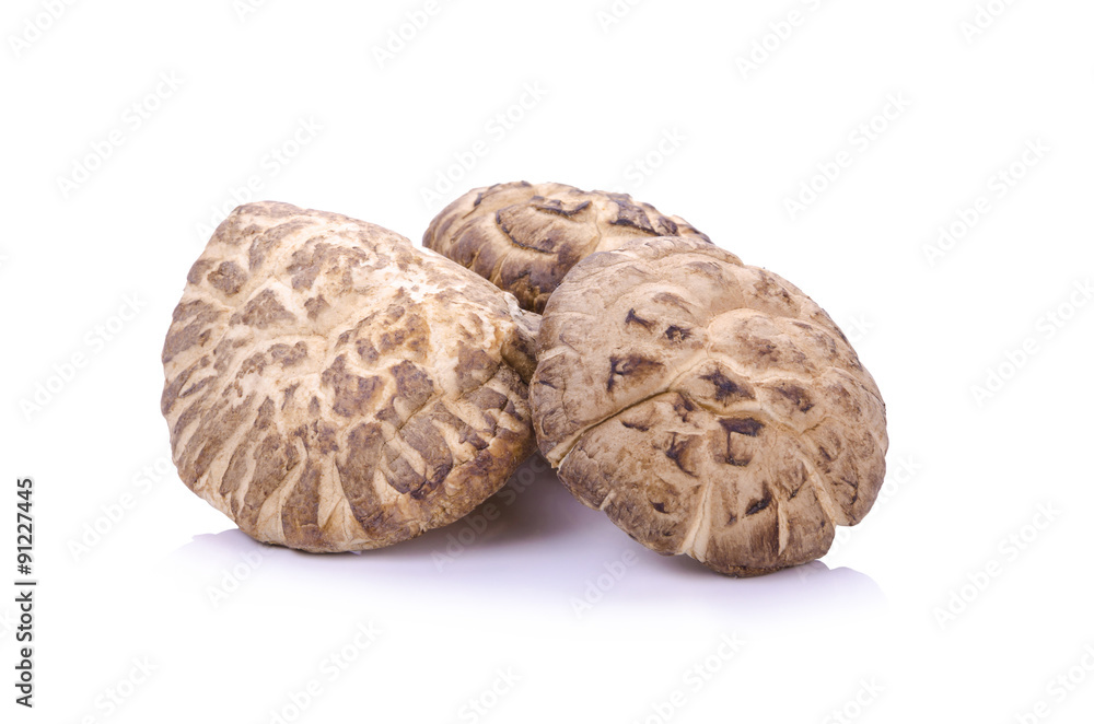 Shiitake mushroom on the White background Shiitake mushroom on the White background