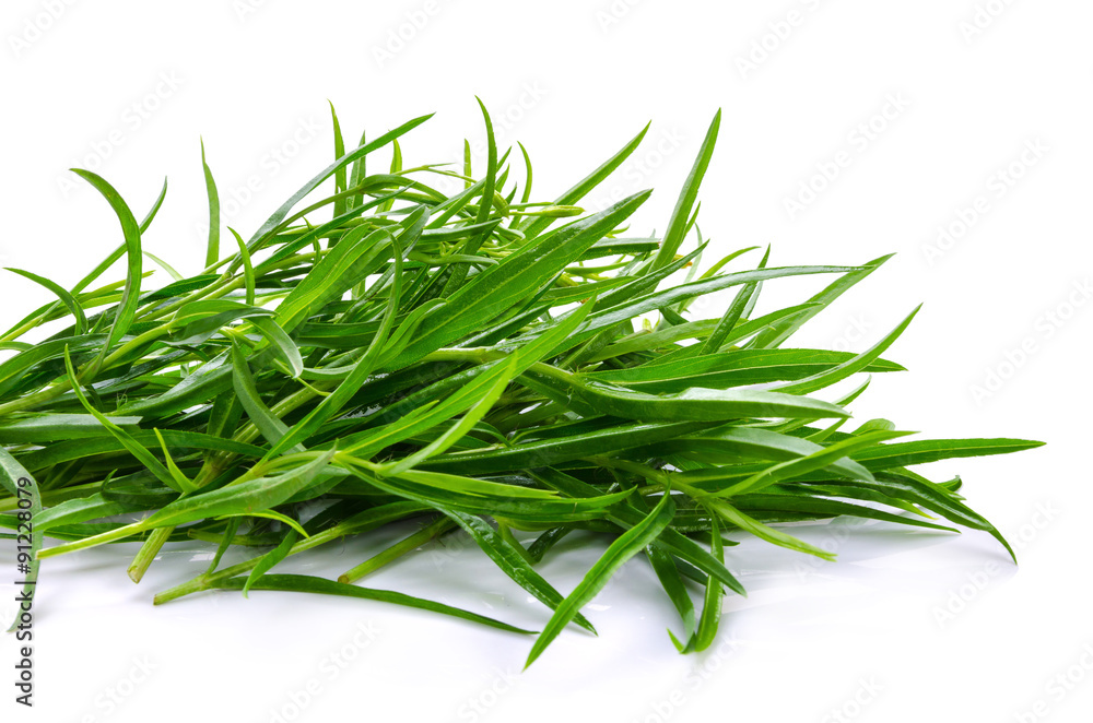 Tarragon herbs close up isolated on white Tarragon herbs close up isolated on white