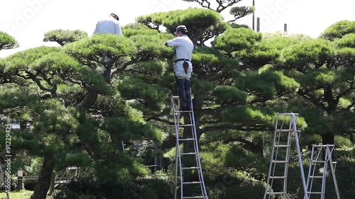 庭師