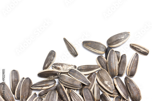 Fotografie Sunflower seeds on white background.