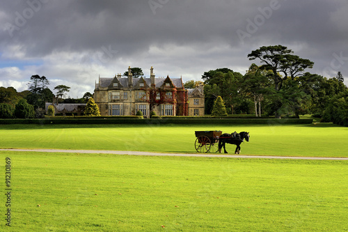 Photography Horse ride in Killarney National Park, Ireland