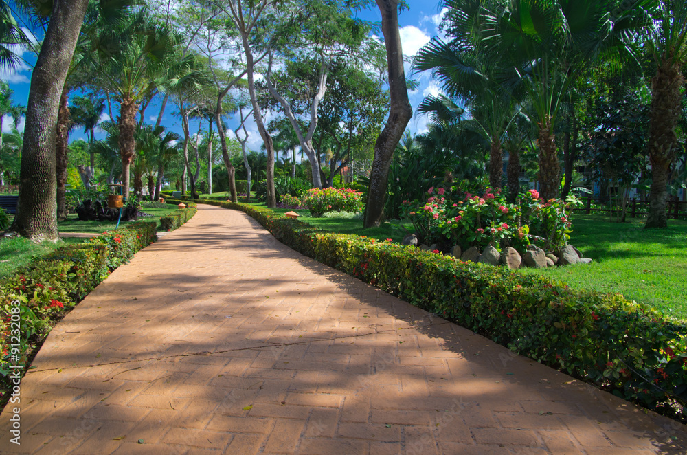 Garden Garden