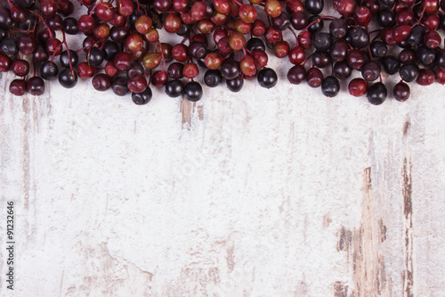 Autumn fresh elderberry and copy space for text on old wooden background