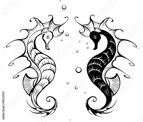 silhouettes of seahorses