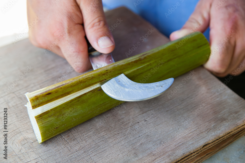 The working of Papyrus in Syracuse: an artisan is obtaining thin strips from the stem of the plant using a particular knife The working of Papyrus in Syracuse: an artisan is obtaining thin strips from the stem of the plant using a particular knife