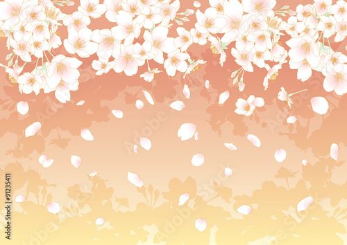 桜