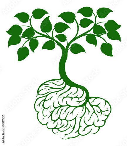 Brain roots tree