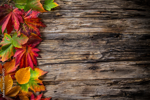 Colorful autumnal backgroun...