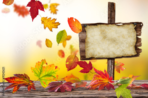 Colorful autumnal backgroun...