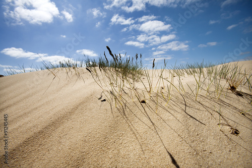 Sand dune with some grass