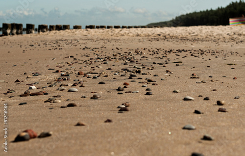 Pebbles on the beach 1