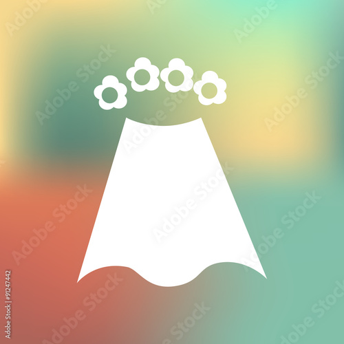 Wedding veil icon
