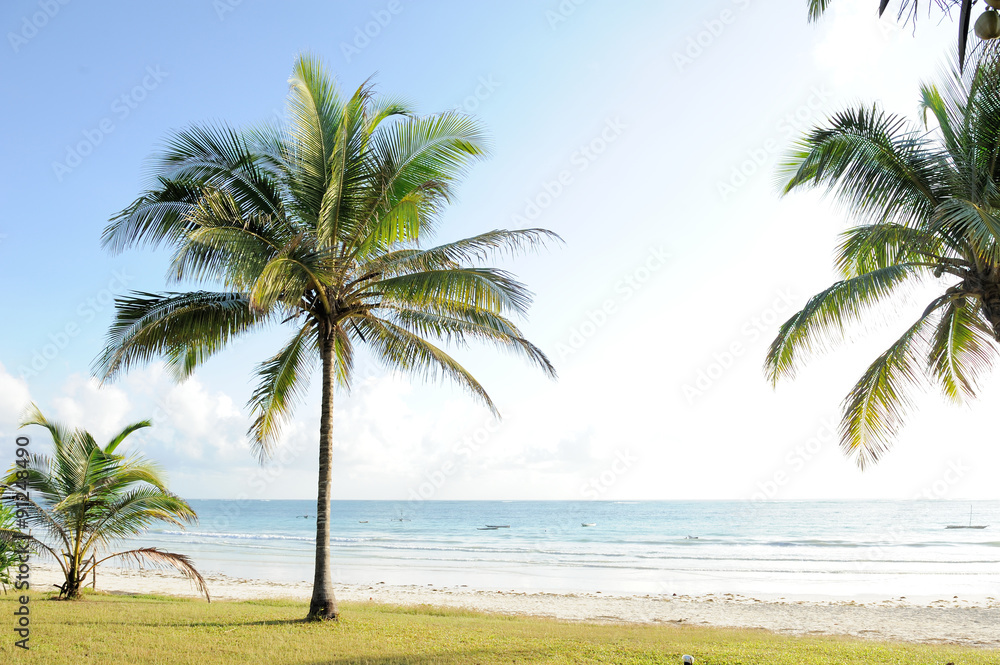 Palms and  beach