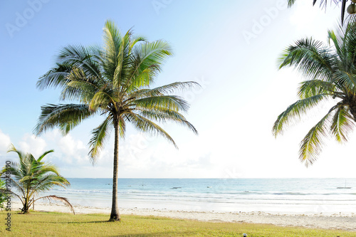 Palms and  beach © byrdyak