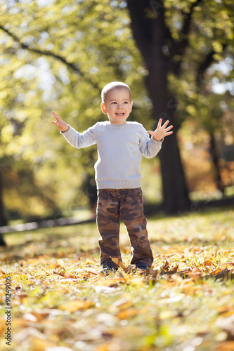 Little boy at the autumn park