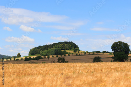 Beautiful landscape with hill, grain field and blue sky in Saxon Switzerland