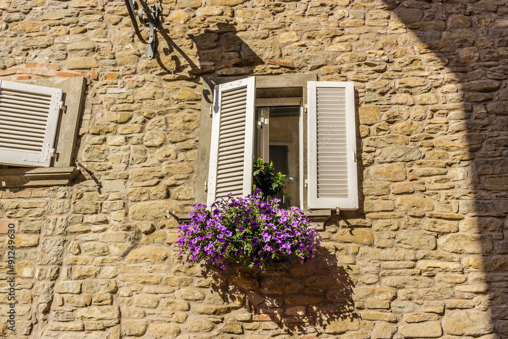window with white shutters and fuchsia petunias