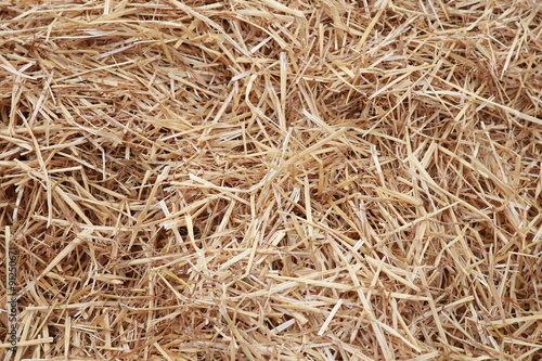 Closeup hay background