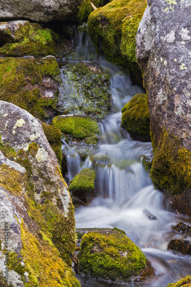 Mountain stream flowing among the mossy stones.