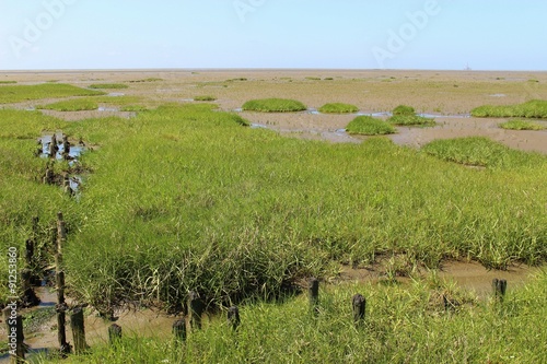 The Schleswig-Holstein‘s Tidelands National Park, Germany.  A unique, protected Biotope near the dike of Friedrichskoog. photo