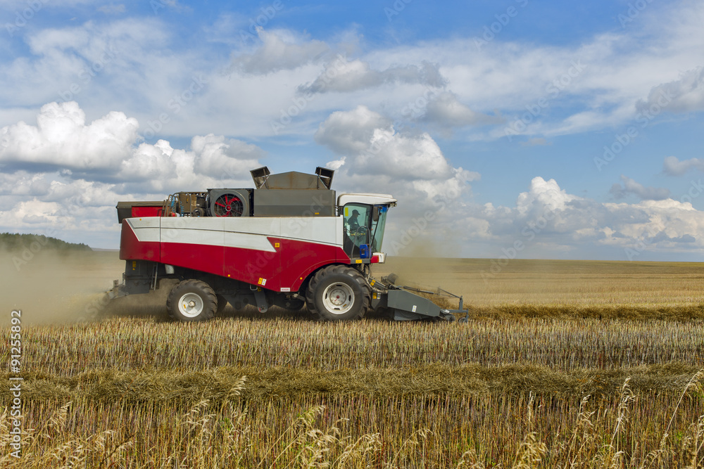 Obraz premium combine harvester.