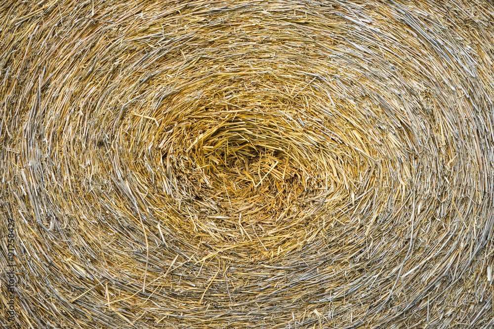 Dry chaff pattern close up, dry grass pattern Dry chaff pattern close up, dry grass pattern