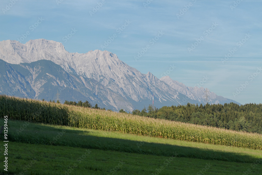 Kornfeld in Tirol - Herbslandschaft