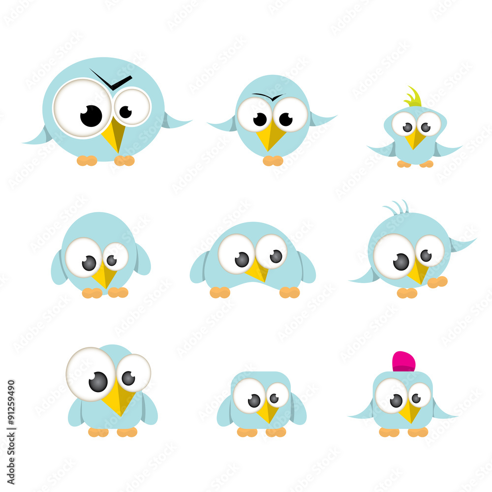 cute birds collection cute birds collection