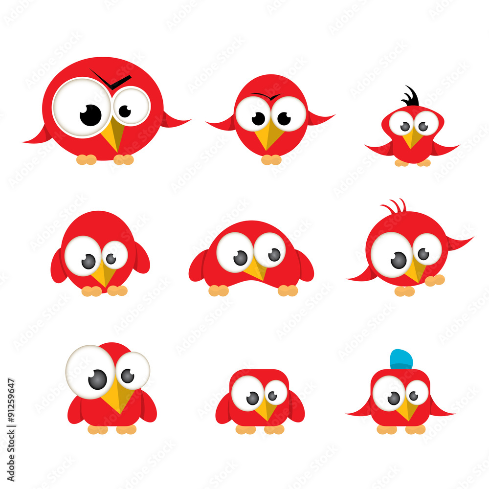 cute birds collection cute birds collection
