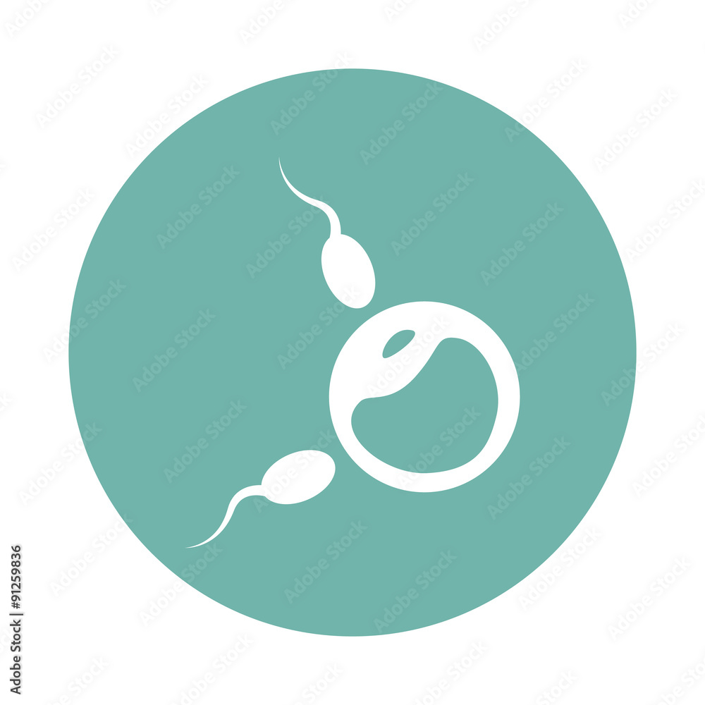 Fototapeta premium Egg and sperm icon
